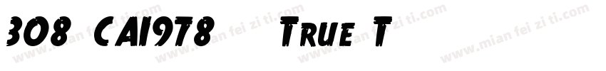 308-CAI978-常规True T字体转换